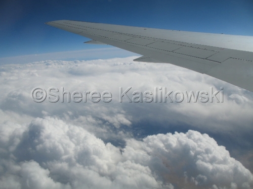 Photography-Nature-Just Above
