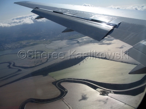 Photography-Nature-Ground Below