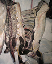 Painting--Oil-Still LifeAy Dulce Pena