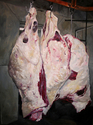 Painting-The 3 Graces