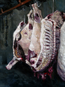 Painting-Abattoir 01