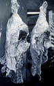 Painting--Oil-Still LifeEl 22 de Mayo