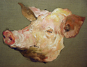 Painting--Oil-Still Lifedas Schwein 06
