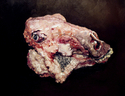Painting--Oil-FigurativeCabeza de Vaca