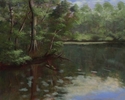Early Summer 2009, Island Creek Early%20Summer%202009%2C%20Island%20Creek (thumbnail)