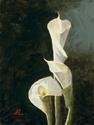 Calla Lily No. 4 Calla%20Lily%20No.%204 (thumbnail)