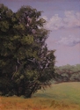 Mary Kistner's Studio View Mary%20Kistner%27s%20Studio%20View (thumbnail)