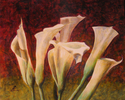 Calla Sextet Calla%20Sextet (thumbnail)