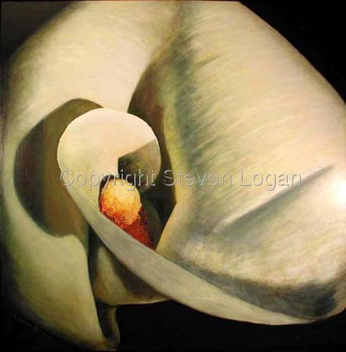 Calla%20Lily%20Number%202 (large view)