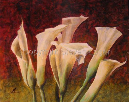Calla%20Sextet (large view)