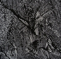 Drawing-Lines Inky