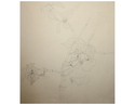 Drawing-Flower Image