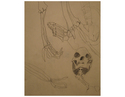 Drawing-Skeleton Drawing