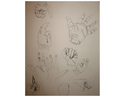 Drawing-Child Hands