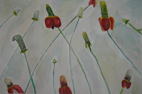 Painting-Red Flowers