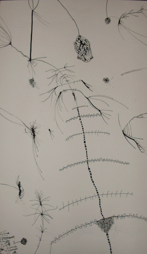 Drawing-Long Inky
