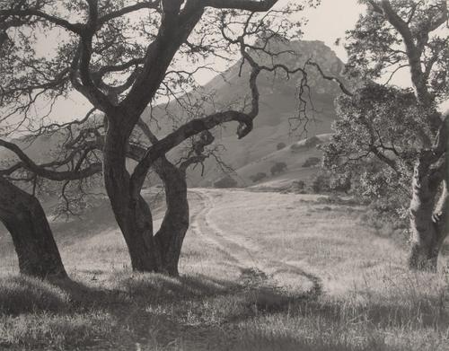 Photography-Landscape-The old road to Cerro Romauldo