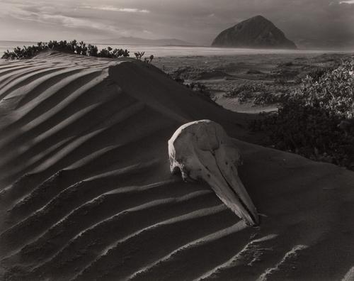 Photography-Landscape-A Dolphins' skull,Winter Solstice