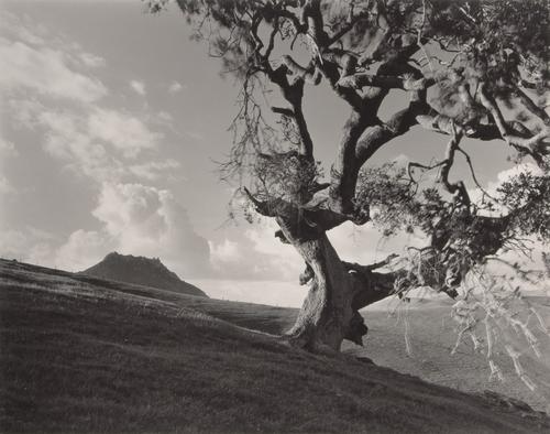 Photography-Landscape-Spring clouds over Holister peak