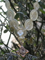 Yesteryear Series, jewelry, Susanne Mueller-Baji, chandelier, pearls - Necklaces Jewelry
