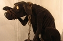 muzzled