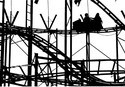 Wild Mouse