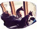 Dogs at the Window