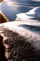 Water's Edge