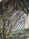 Barn 3