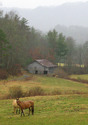 Barn 6