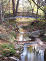Botanical Garden Bridge