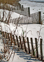 Winter, Folly Beach SC