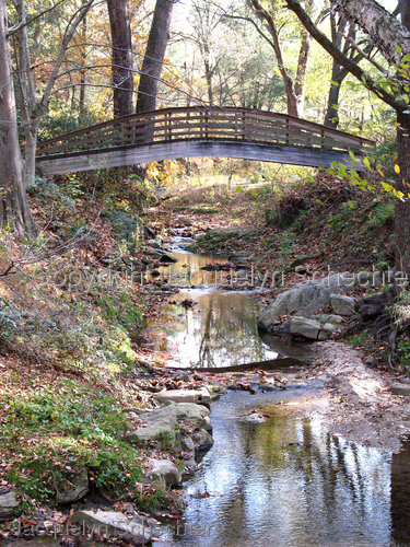 Botanical Garden Bridge