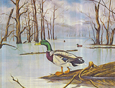 King%20Of%20The%20Marsh (thumbnail)