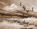 Pushing%20Through%20The%20Storm (thumbnail)