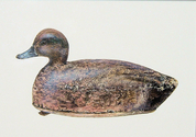 2002%20Massachusetts%20Duck%20Stamp%20Design (thumbnail)
