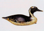 Massachusetts%20waterfowl%20stamp%20design%20entry (thumbnail)