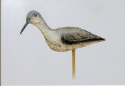 Massachusetts%20Waterfowl%20Stamp%20Design%20Entry (thumbnail)