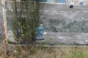 HIDE%20AND%20SEEK (thumbnail)