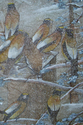 my%20big%20yellow%20birds (thumbnail)