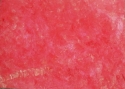 Uninhibited (thumbnail)