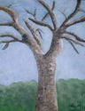 Tree%20Trunk (thumbnail)