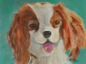 My%20Cavalier%20King%20Charles%20Spaniel (thumbnail)