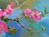Quince%20Flower%20Branch (thumbnail)