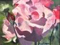 Rose%20in%20Bloom (thumbnail)