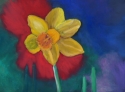 Daffodil (thumbnail)