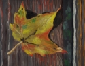 Autumn%20Leaf (thumbnail)