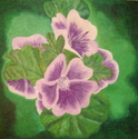 Pansies (thumbnail)