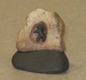 Sculpture--Found Objects-ConceptualStone Pony