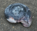 Ceramics--Clay-Animalssnail shell rattle